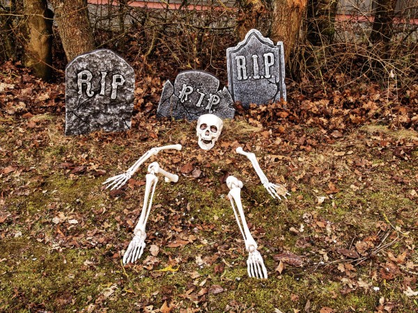 Skelett, mehrteilig - Coole Halloween Gartendeko - Schädel , 2 Arme, 2 Beine - mit Erdspießen