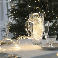 LED Lichtbündel "Dew Drop" - 125 warmweiße LED auf 10 silbernen Drähten - 2000K - 1,4m - inkl. Trafo LED Lichtbündel "Dew Drop" - 125 warmweiße LED auf 10 silbernen Drähten - 2000K - 1,4m - inkl. Trafo