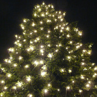 Vorschau: Illu-/Partylichterkette 5m - Außenlichterkette schwarz - Made in Germany - 10 kaltweiße LED Kugellam Vorschau: Illu-/Partylichterkette 5m - Außenlichterkette schwarz - Made in Germany - 10 kaltweiße LED Kugellam