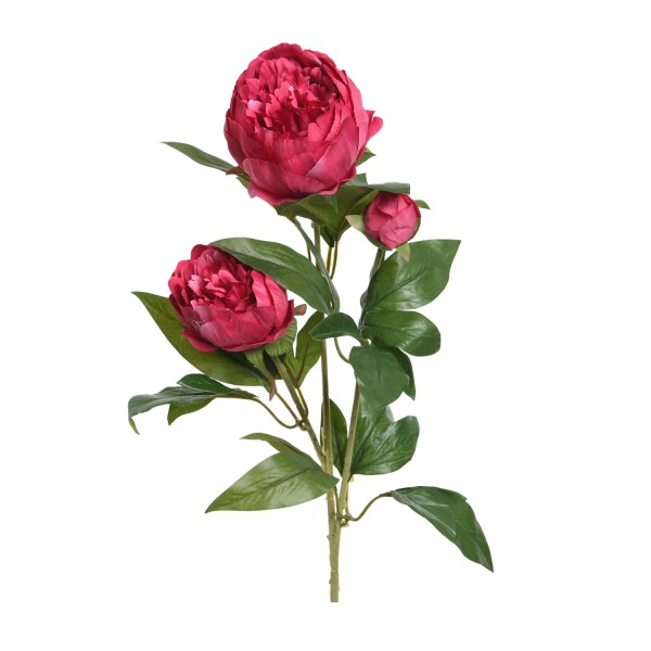 Pfingstrose mit 2 Blüten und Knospe am Stiel - Kunstblume - H: 75cm - rot