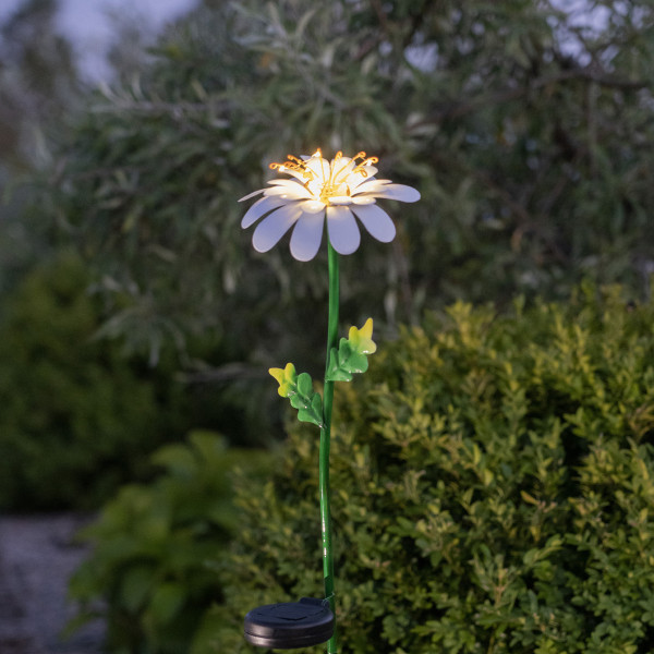 LED Solarstab Gänseblümchen - 10 warmweiße Dew Drop LED - H: 77cm - Dämmerungssensor