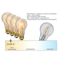 Vorschau: Illu-/Partylichterkette 40m - Außenlichterkette grün - Made in Germany - 60x Edison LED Filament Vorschau: Illu-/Partylichterkette 40m - Außenlichterkette grün - Made in Germany - 60x Edison LED Filament