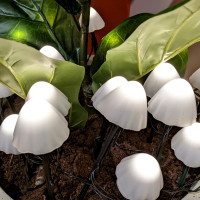 Vorschau: LED Solar Mini Pilze - 10 Gartenstecker mit Erdspießen - 8 Funkt. - Lichtsensor - H: 20cm - weiß Vorschau: LED Solar Mini Pilze - 10 Gartenstecker mit Erdspießen - 8 Funkt. - Lichtsensor - H: 20cm - weiß