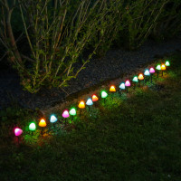 Vorschau: LED Lichterkette Mini Pilze - 20 Gartenstecker mit Erdspießen - 8 Funkt. - Timer - L: 3,8m - bunt Vorschau: LED Lichterkette Mini Pilze - 20 Gartenstecker mit Erdspießen - 8 Funkt. - Timer - L: 3,8m - bunt