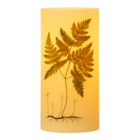 Vorschau: XXL LED Kerze mit Farndruck - Echtwachs - flackernde LED - H: 25cm - D: 12cm - weiß/grün Vorschau: XXL LED Kerze mit Farndruck - Echtwachs - flackernde LED - H: 25cm - D: 12cm - weiß/grün