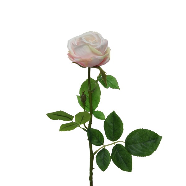 Rose am Stiel - Kunstblume - Real Touch Oberfläche - H: 66cm - beige/creme