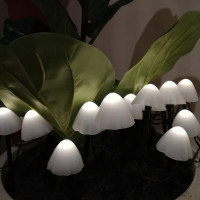 Vorschau: LED Solar Mini Pilze - 10 Gartenstecker mit Erdspießen - 8 Funkt. - Lichtsensor - H: 20cm - weiß Vorschau: LED Solar Mini Pilze - 10 Gartenstecker mit Erdspießen - 8 Funkt. - Lichtsensor - H: 20cm - weiß