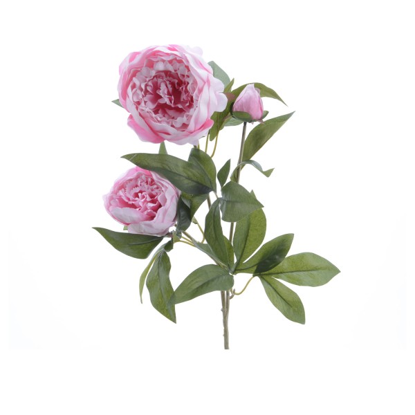 Pfingstrose mit 2 Blüten und Knospe am Stiel - Kunstblume - H: 75cm - rosa
