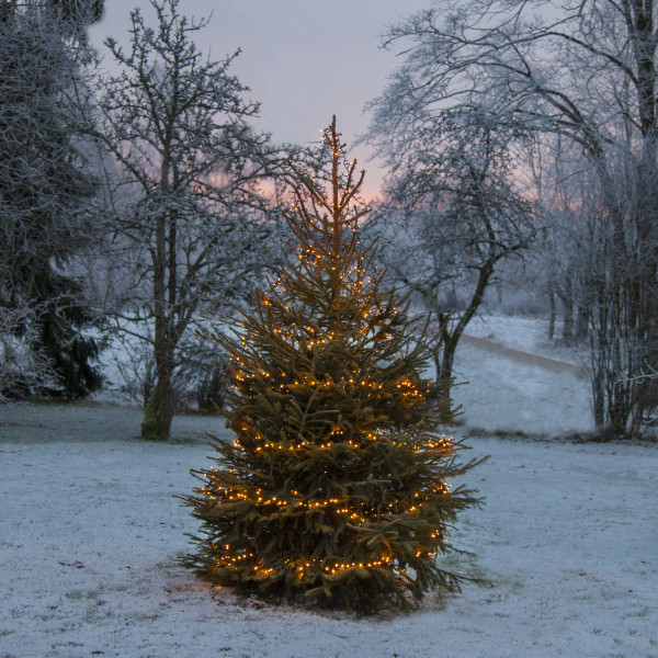 LED Lichterkette - GOLDEN LED Serie - 1200 ultra warmweiße LED - L: 24m - schwarzes Kabel - f. Außen