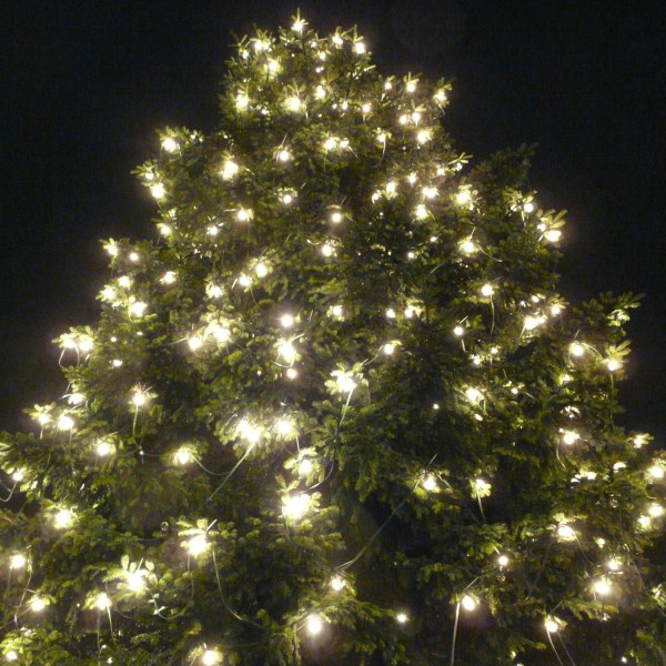 Illu-/Partylichterkette 5m - Außenlichterkette schwarz - Made in Germany - 10 kaltweiße LED Kugellam